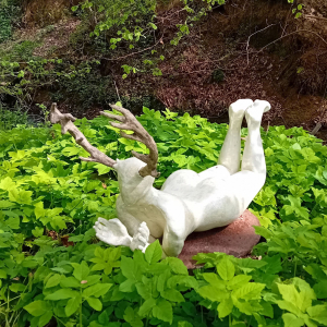 Artists/Images/ResizedExtra/thea kanters_image_connecting with nature_amdd.jpg